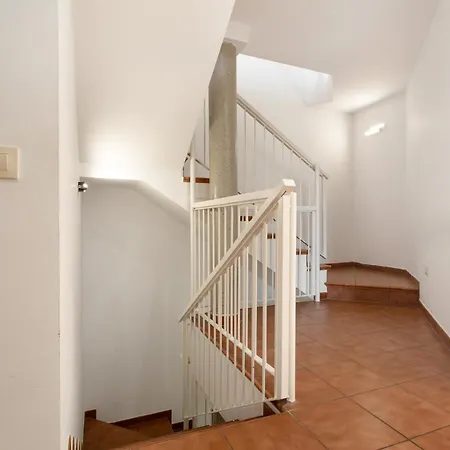 Obsidian Olivino Miraverde